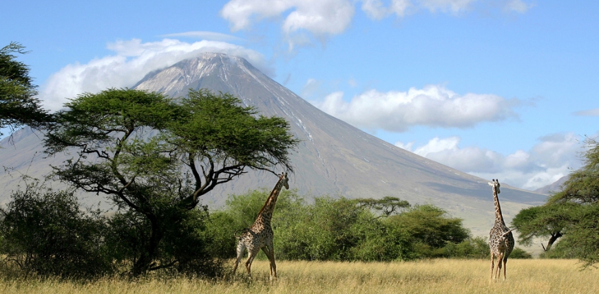 서브콘텐츠비주얼