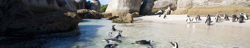 케이프탐나 소개