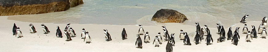 서브콘텐츠비주얼